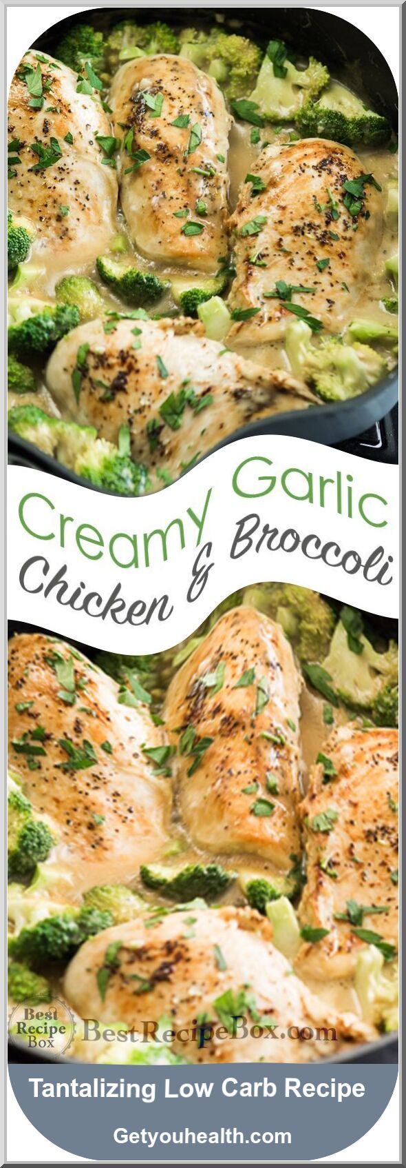 Creamy Garlic Chicken with Broccoli with Creamy Garlic Sauce