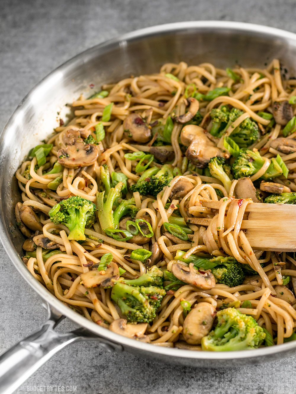 With just a few ingredients you can make these easy and delicious Mushroom Broccoli Stir Fry Noodles for a fast weeknight dinner. BudgetBytes.com